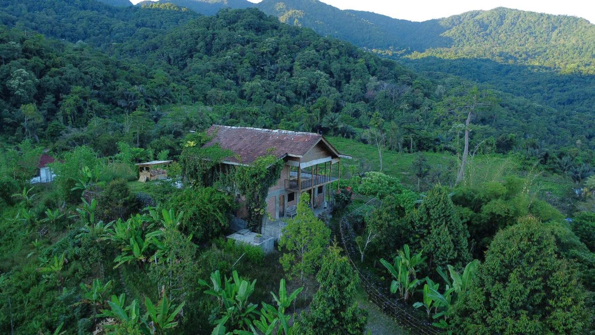 Bukit *